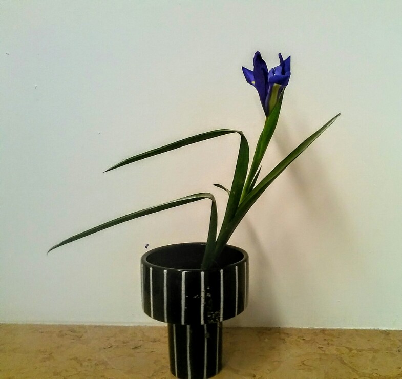 ikebana th 5
